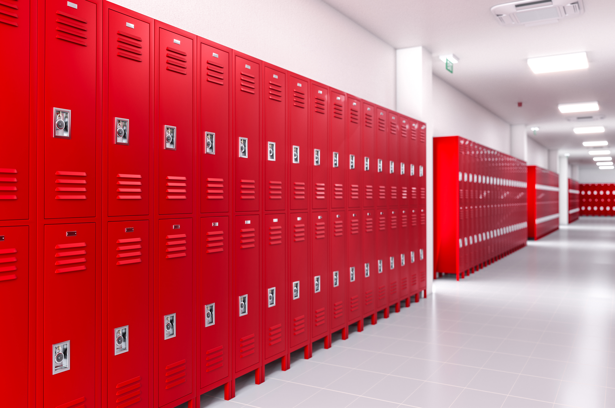 Jaulas de Guardado y Lockers