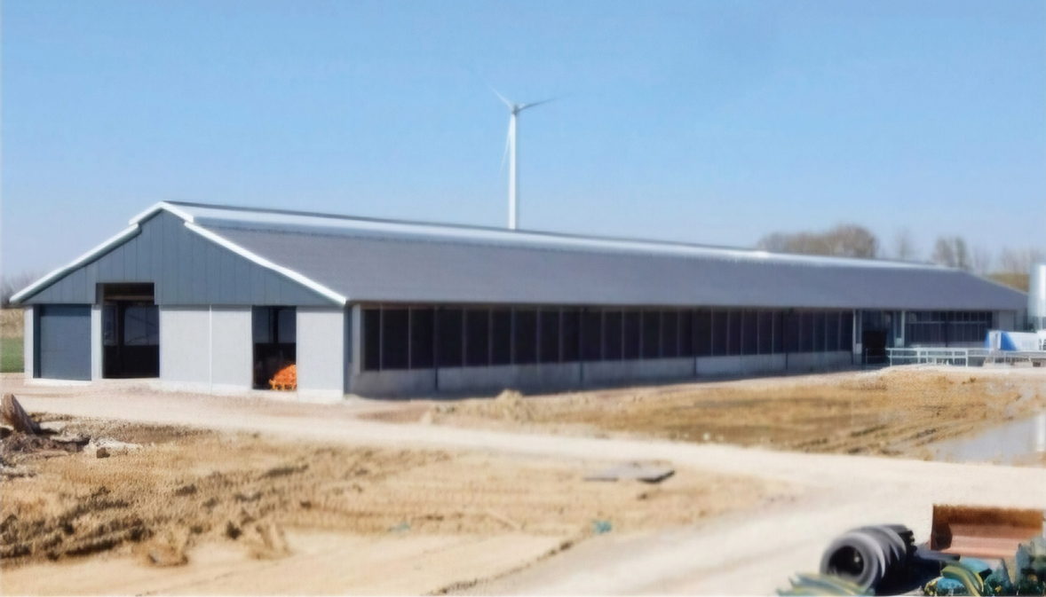 Estructuras de campo