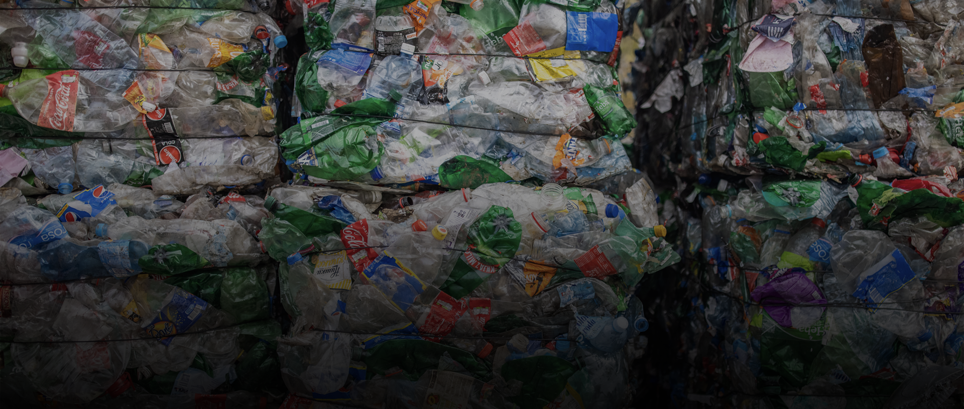 CONTRIBUIMOS EN EL CUIDADO DEL MEDIO AMBIENTE